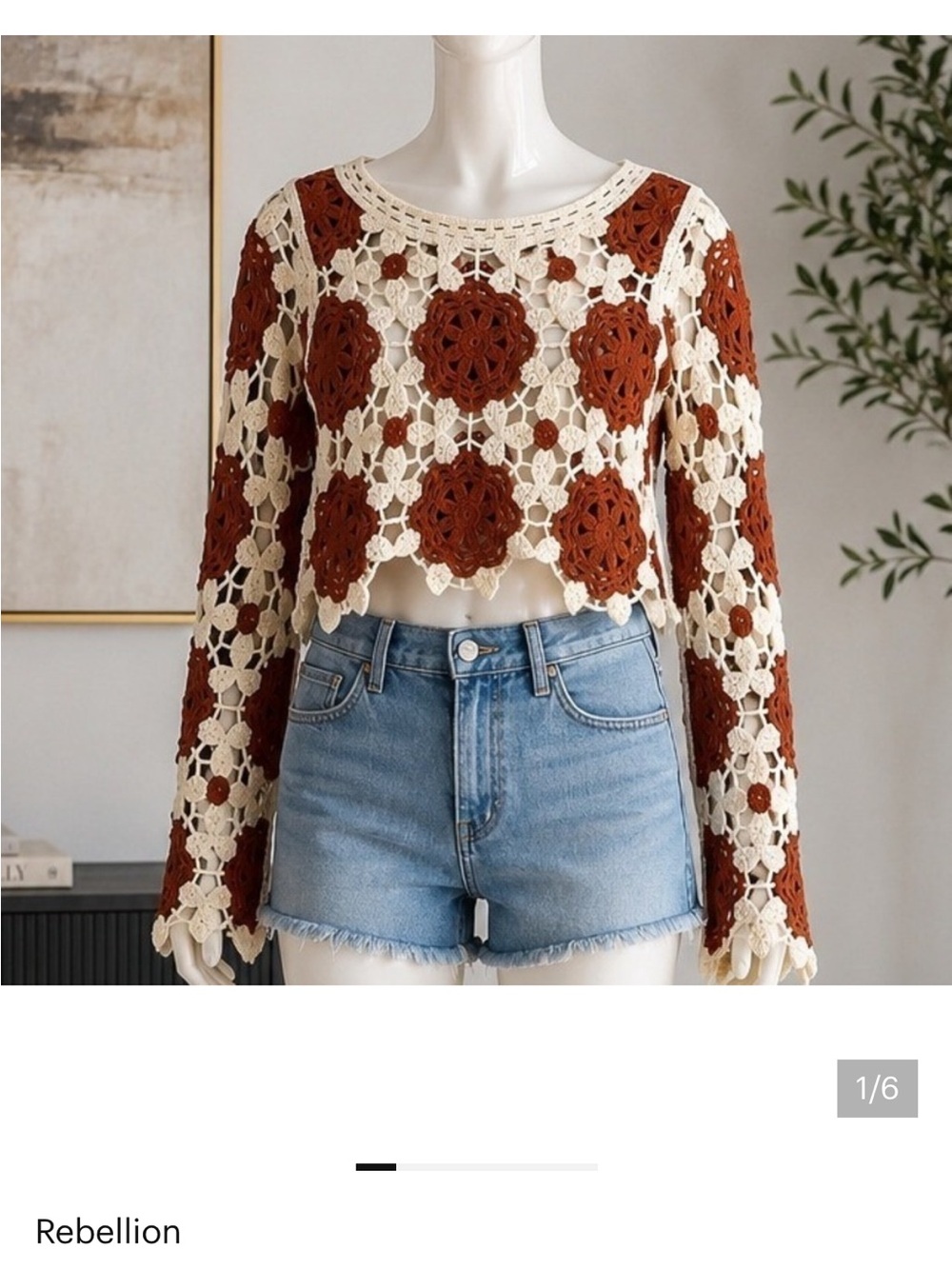 Rebellion Crocheted Floral Crop Sweater in Cream and Rust